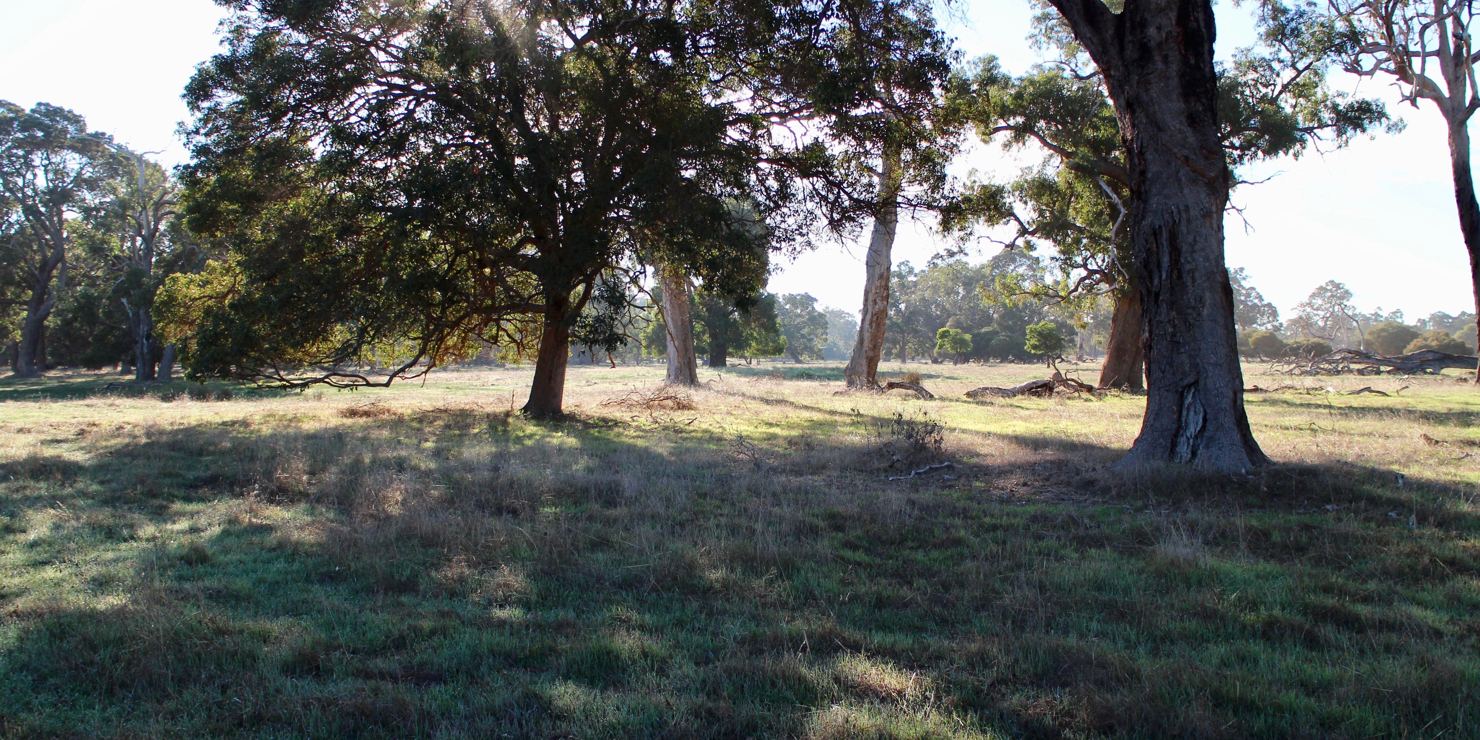 Land Capability for Grazing
