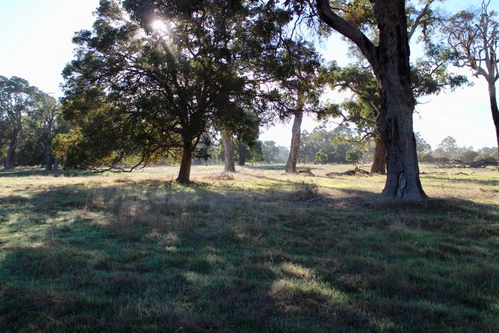 Land Capability for Grazing